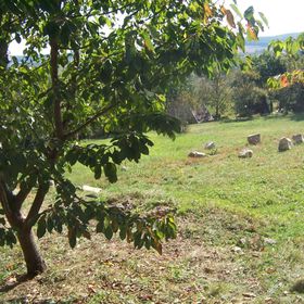 Cottage by the Woods Balatonhenye