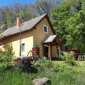 Cottage by the Woods Balatonhenye