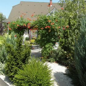 Garden Room Apartman Gyula