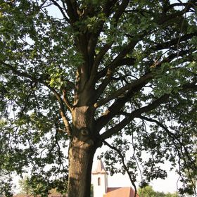 Fumu Ház Közösségi Vendégház Zalaszombatfa