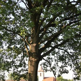 Fumu Ház Közösségi Vendégház Zalaszombatfa