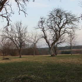 Orbán Porta Szalafő