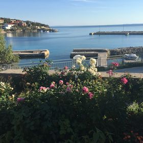 Apartments Suzana Jakisnica