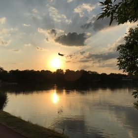 Bor Villa Sóstó-Nyíregyháza