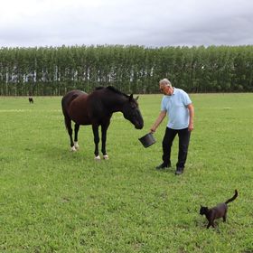 Győri Lovastanya Cserkeszőlő