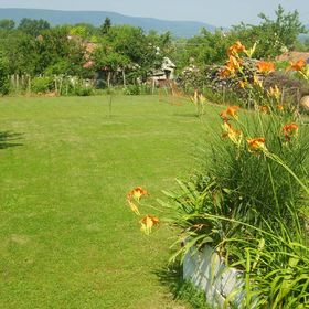 Hóvirág Tetőtéri Apartman Szigliget