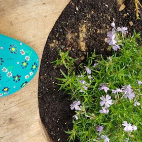 Pitypang Vendégház Szálka