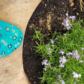 Pitypang Vendégház Szálka