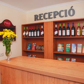 King Arthur Panzió Baja