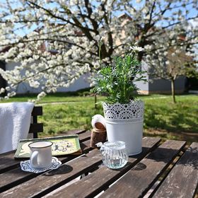 Jázmin Vendégház és Apartman Pogány 
