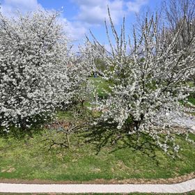 Jázmin Vendégház és Apartman Pogány 
