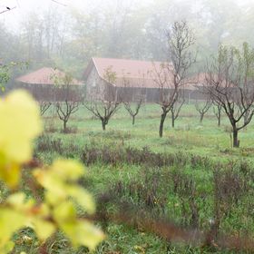 Feketebács Nyaralóház Káptalantóti