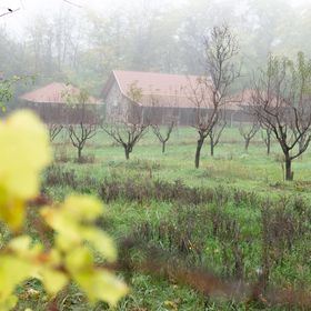 Feketebács Nyaralóház Káptalantóti