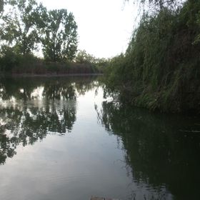 Horgász Nyaraló Gyomaendrőd