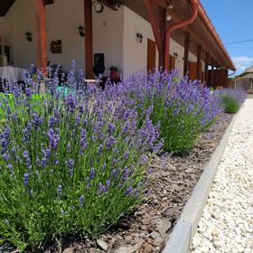 Békatutaj Vendégház Sarud