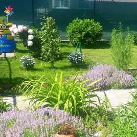 Százszorszép Apartman Mezőkövesd