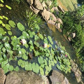 Virág Vendégház Poroszló