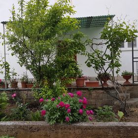 Apartmanok Parkolóhellyel Trogir - 12695