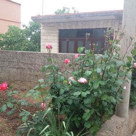 Apartmanok és Szobák A Tenger Mellett Sucuraj, Hvar - 12887 Sućuraj