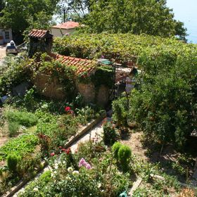 Apartmanok A Tenger Mellett Omis - 771 Omiš