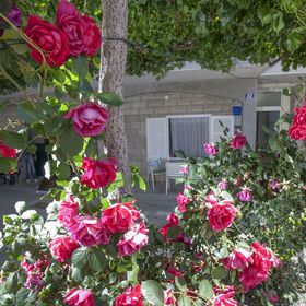 Apartmanok A Tenger Mellett Tucepi, Makarska - 11486 Tučepi