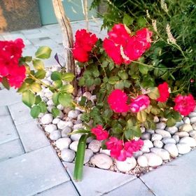 Apartmanok Parkolóhellyel Starigrad, Paklenica - 11683 Starigrad