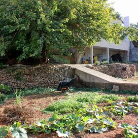 Apartmanok A Tenger Mellett Basina, Hvar - 9673 Basina