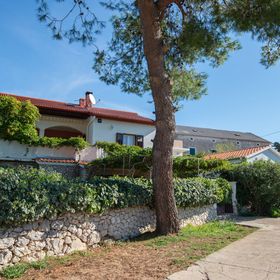 Apartmanok Parkolóhellyel Molat - 6249