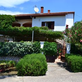 Apartmanok Parkolóhellyel Molat - 6249