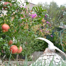 Apartmanok A Tenger Mellett Poljica, Trogir - 12653 Poljica