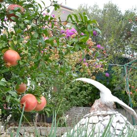 Apartmanok A Tenger Mellett Poljica, Trogir - 12653 Poljica