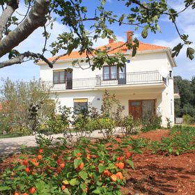 Apartmanok Parkolóhellyel Ugljan - 8493