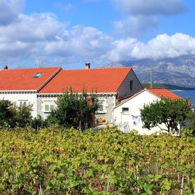 Apartmanok A Tenger Mellett Lumbarda, Korcula - 4378 Lumbarda