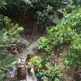 Apartmanok Parkolóhellyel Makarska - 11361