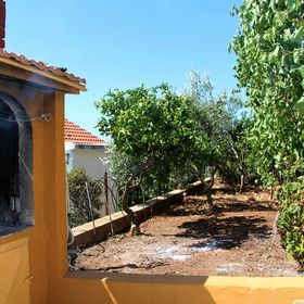 Apartmanok A Tenger Mellett Tisno, Murter - 5136 Tisno