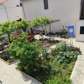 Apartmanok Parkolóhellyel Murter - 5089