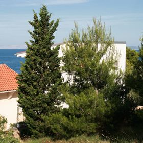 Apartmanok A Tenger Mellett Murter - 5078