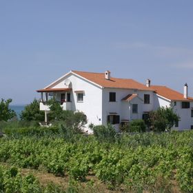 Családi Apartmanok A Tenger Mellett Povljana, Pag - 230 Povljana