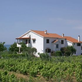 Családi Apartmanok A Tenger Mellett Povljana, Pag - 230 Povljana