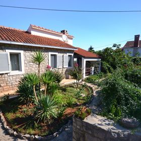 Apartmanok A Tenger Mellett Splitska, Brac - 11300 Splitska