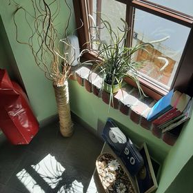 Apartmanok A Tenger Mellett Cres - 13312