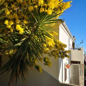 Apartmanok Parkolóhellyel Rukavac, Vis - 8897 Rukavac