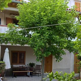 Apartmanok Parkolóhellyel Nerezine, Losinj - 8049 Nerezine