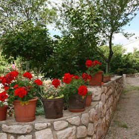 Apartmanok Parkolóhellyel Novi Vinodolski - 5514