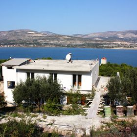 Apartmanok Parkolóhellyel Arbanija, Ciovo - 5228 Arbanija