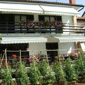 Apartmanok Gyermekes Családok Részére Valbandon, Fazana - 7239 Valbandon