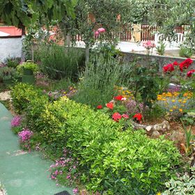 Apartmanok Parkolóhellyel Vir - 6323