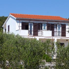 Apartmanok Parkolóhellyel Maslinica, Solta - 5184 Maslinica