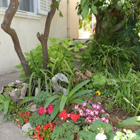 Apartmanok Parkolóhellyel Trpanj, Peljesac - 10111 Trpanj