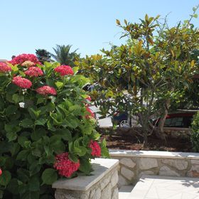 Apartmanok Parkolóhellyel Mali Losinj, Losinj - 8024 Mali Lošinj